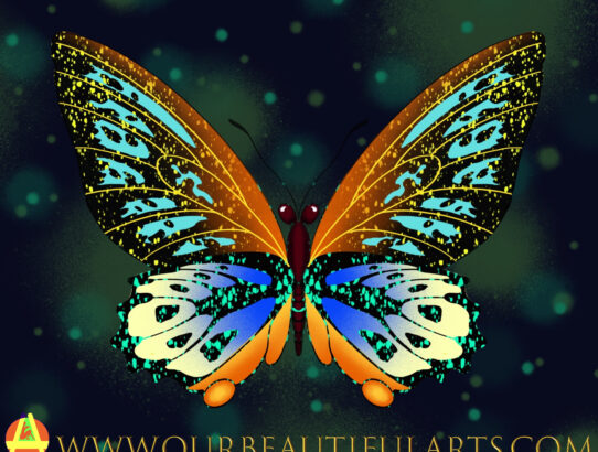 Butterfly- design