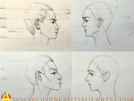 Face proportion-4 profiles