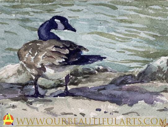 A Goose- Watercolor